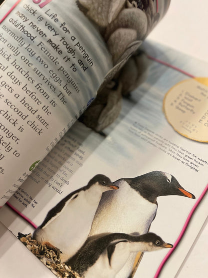 100 Facts Penguins
