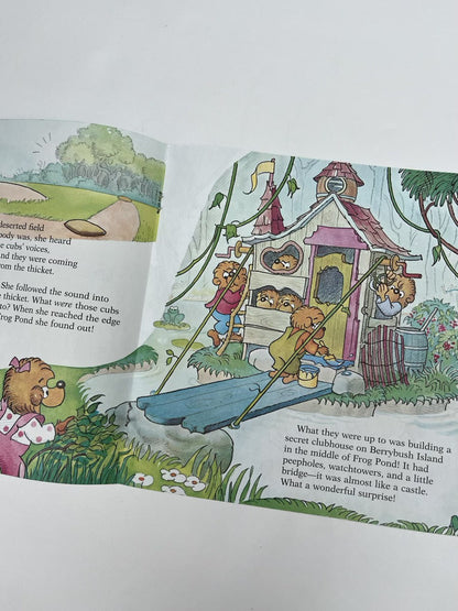Stan & Jan Berenstain No Girls Allowed