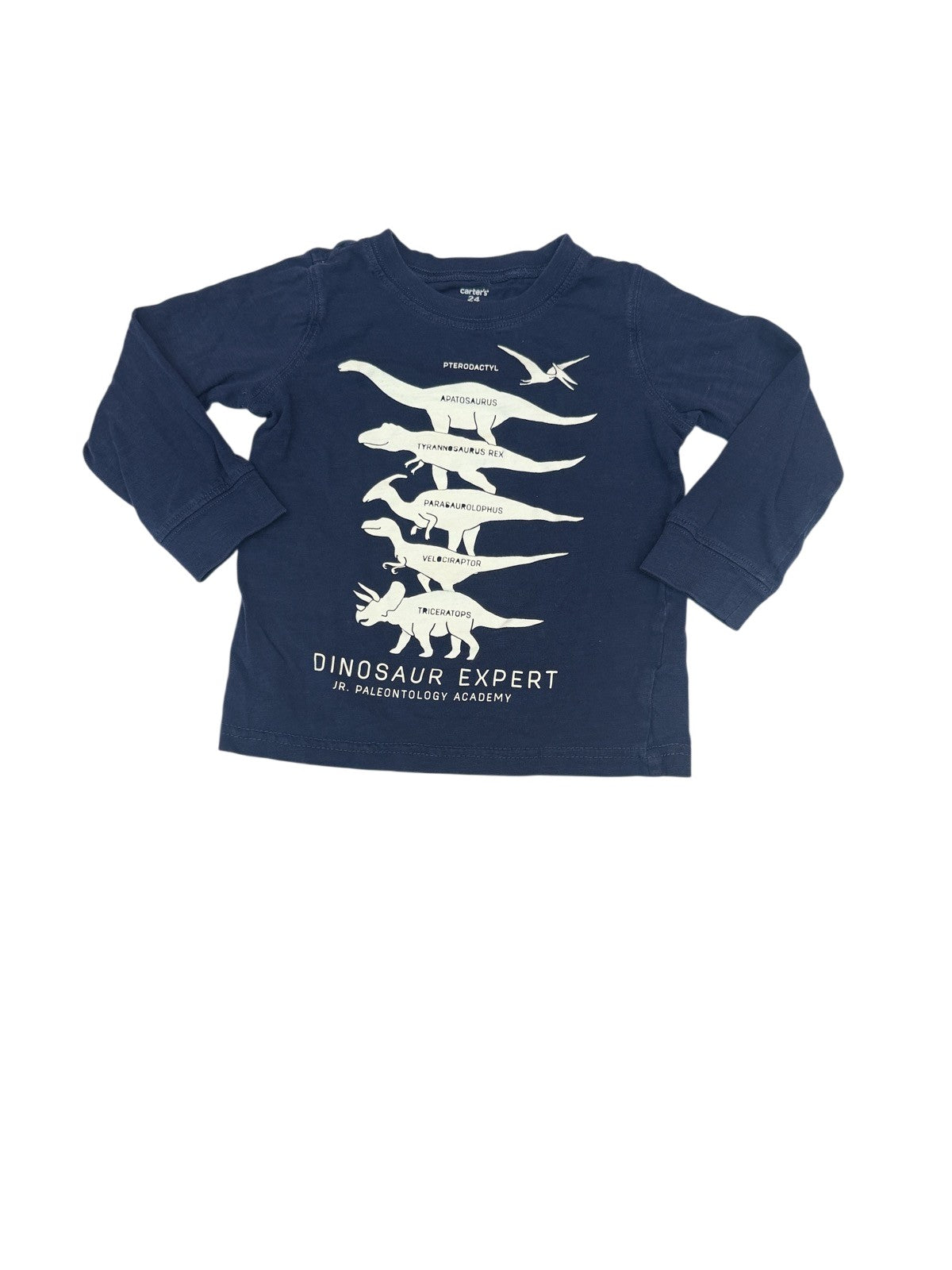 Carter's Dinosaur Expert T-Shirt 24M