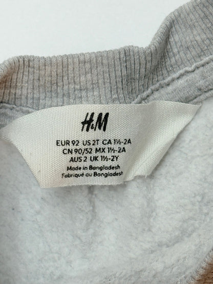 H&M Gray Sweatshirt Size 2T