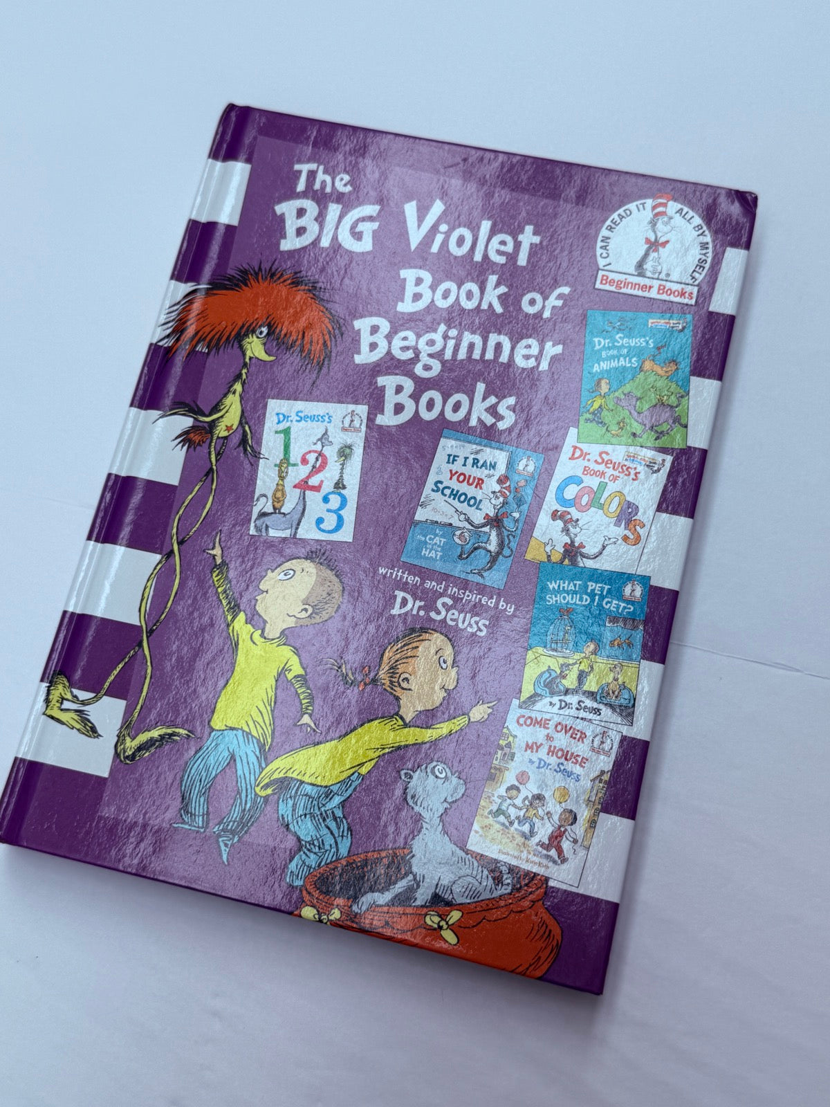The Big Violet Book of Beginner Books