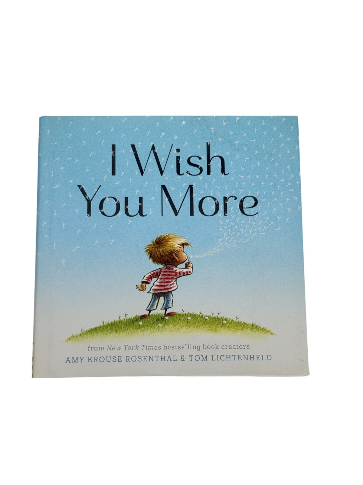 Rosenthal & Lichtenheld I Wish You More
