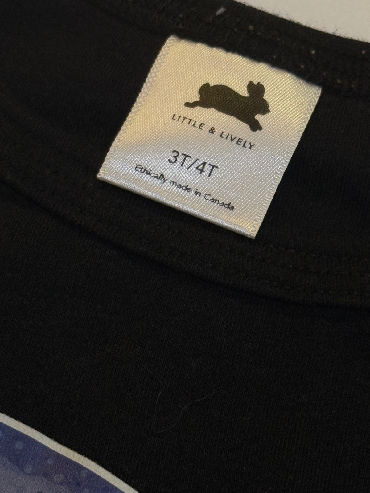 Little & Lively Narwhal Sweatshirt 3T/4T
