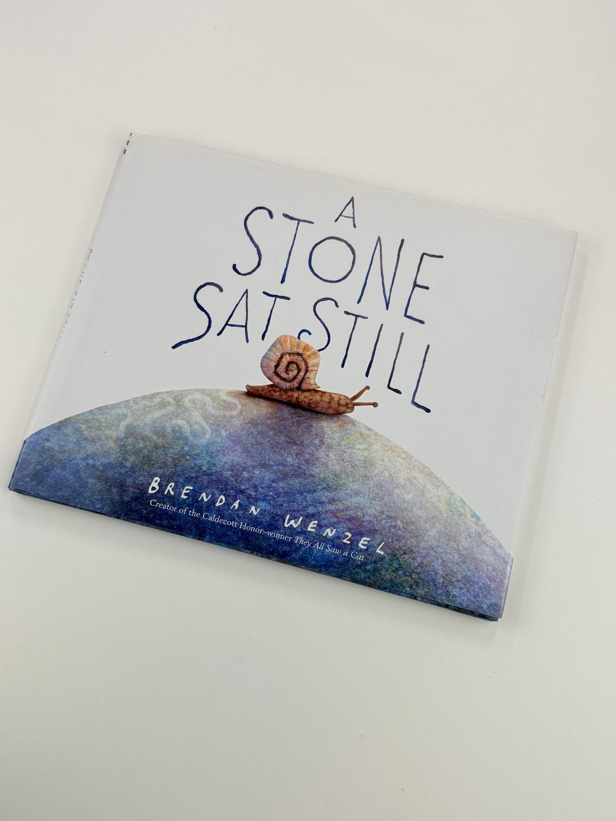Brendan Wenzel A Stone Sat Still