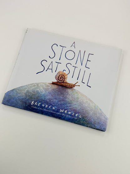 Brendan Wenzel A Stone Sat Still