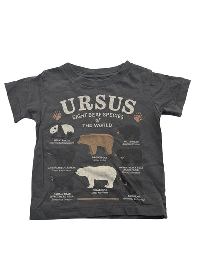 Peek Ursus Bear Species Graphic Tee 3-6m