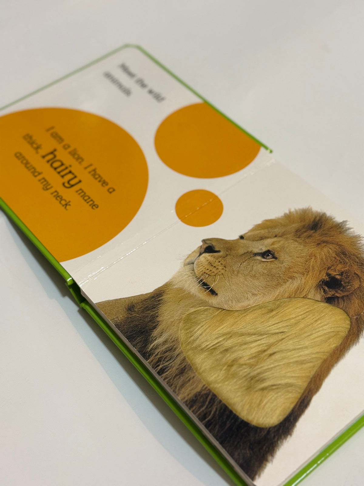 DK Touch and Feel Wild Animals