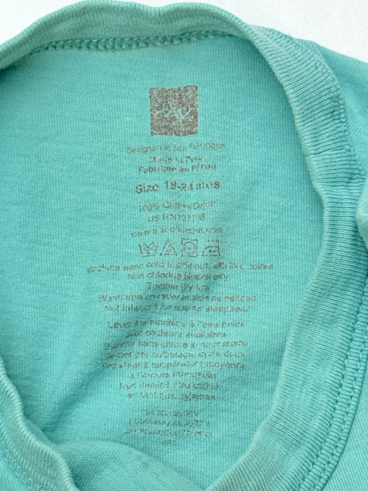 Tea Collection Fox Hiker Graphic T-Shirt 18-24M