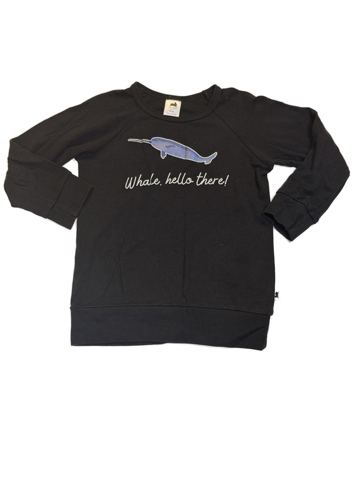 Little & Lively Narwhal Sweatshirt 3T/4T