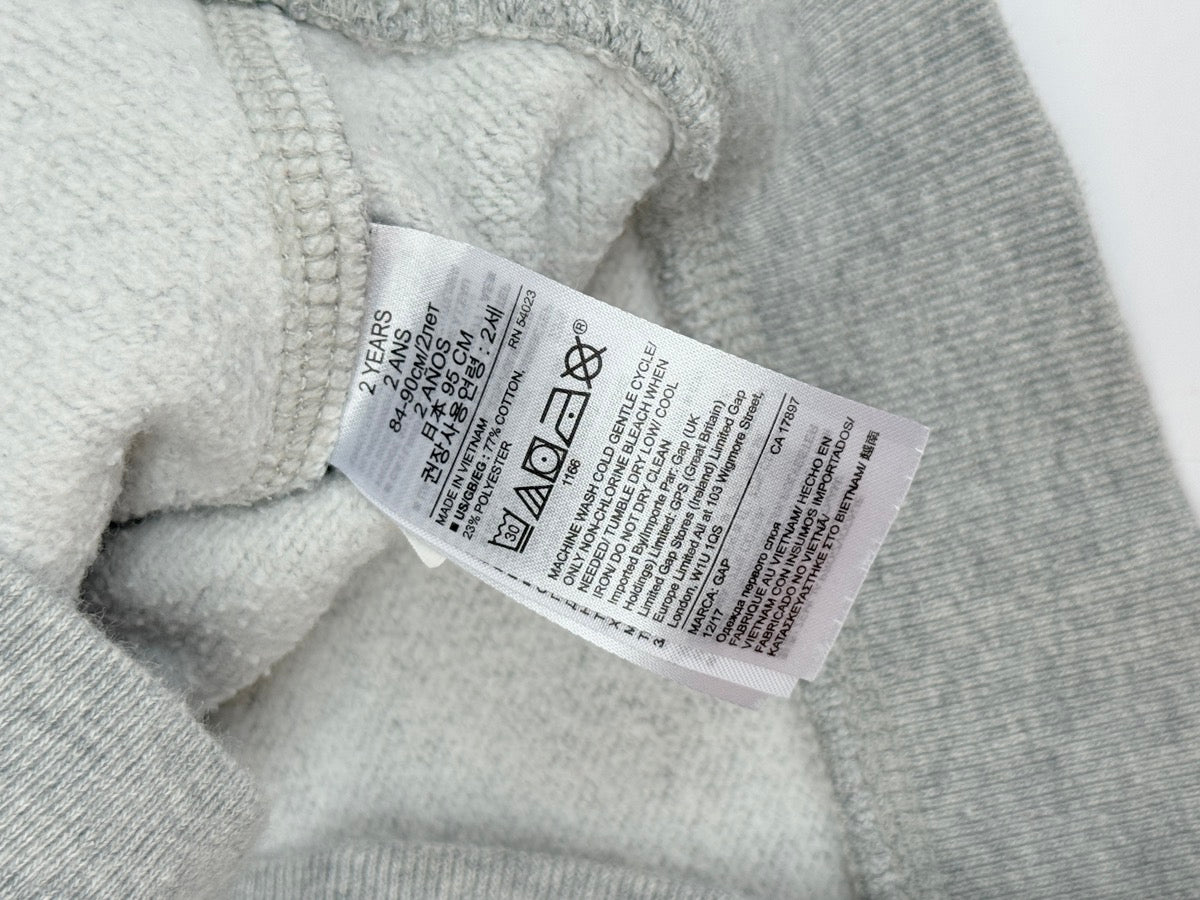 Baby Gap Dinosaur Colorblock Sweatshirt 2T