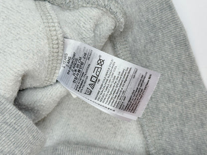 Baby Gap Dinosaur Colorblock Sweatshirt 2T