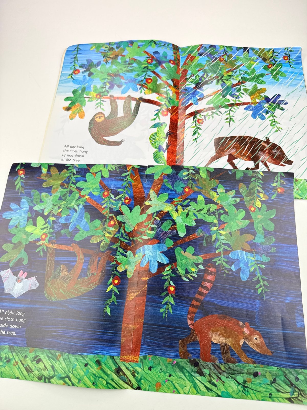 Eric Carle "Slowly, Slowly, Slowly," said the Sloth