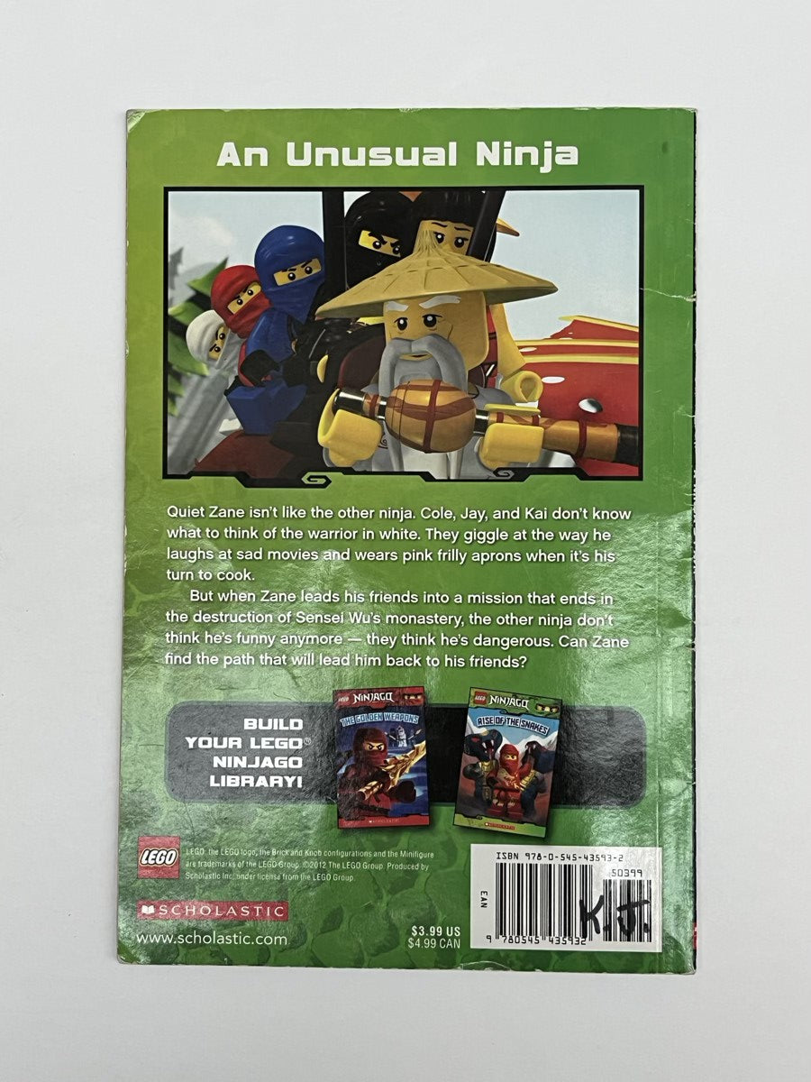 LEGO Ninjago A Ninja's Path