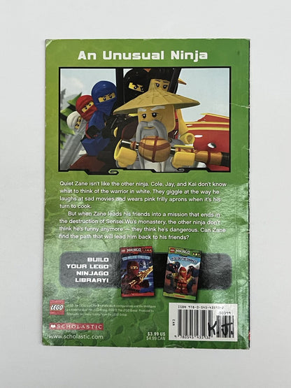 LEGO Ninjago A Ninja's Path