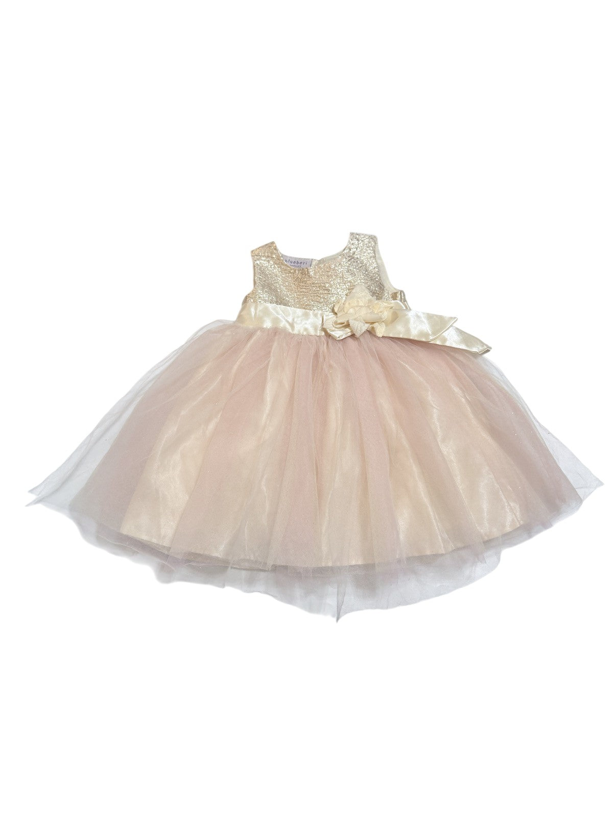 Blueberi Boulevard Sequin Tulle Party Dress 24M