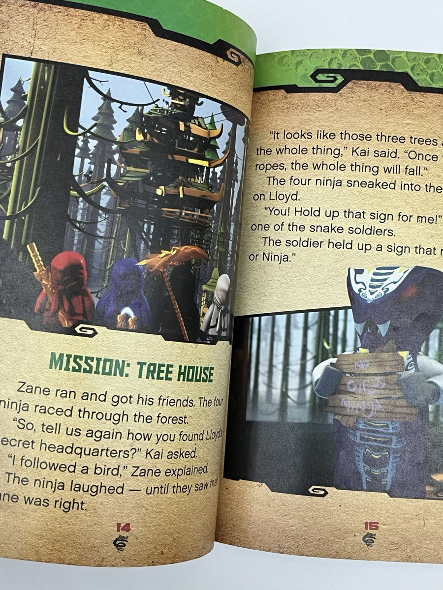 LEGO Ninjago A Ninja's Path