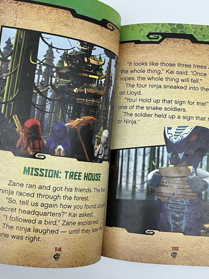 LEGO Ninjago A Ninja's Path