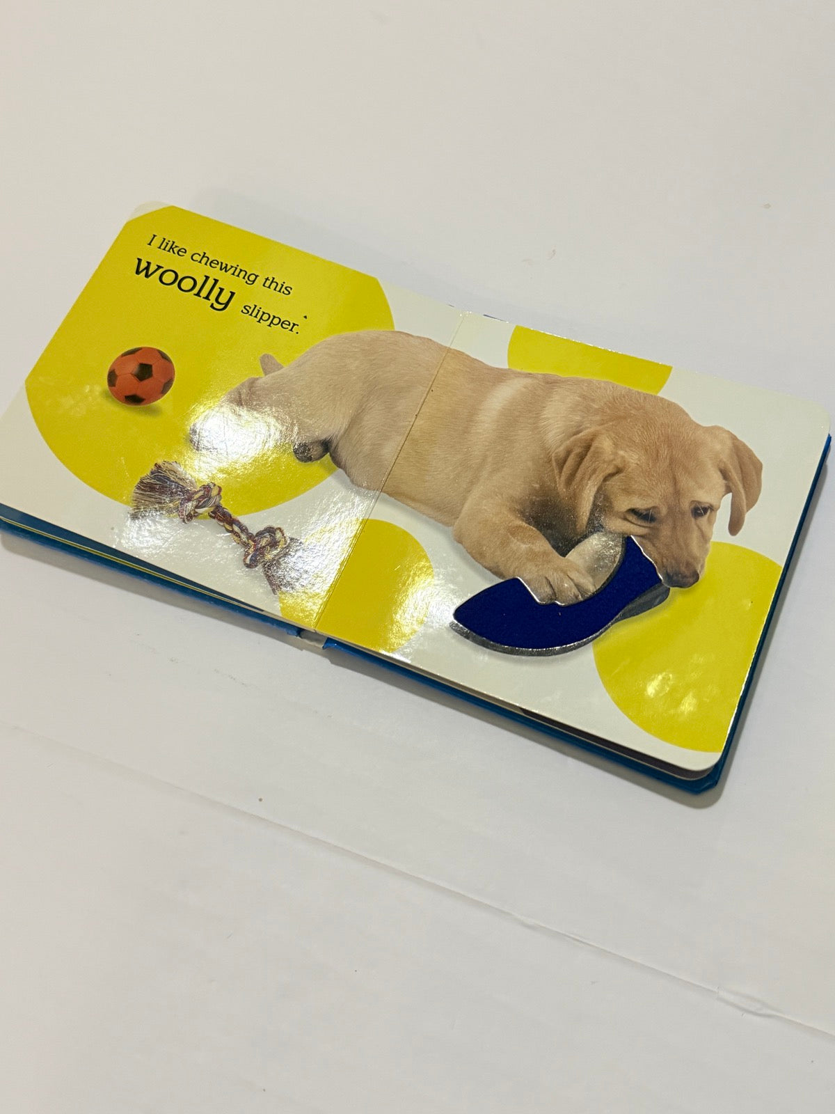 DK Touch and Feel Puppy
