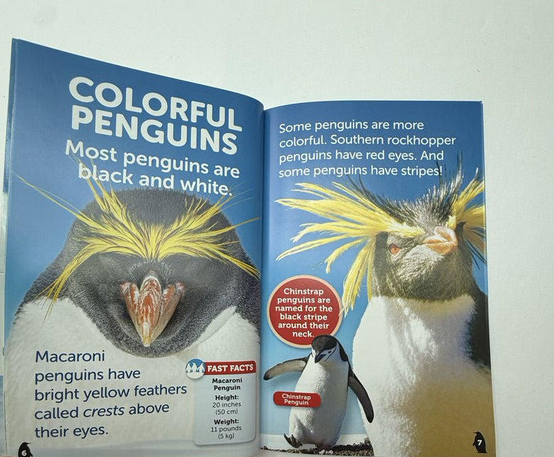 Penguins! Scholastic Reader with Toy
