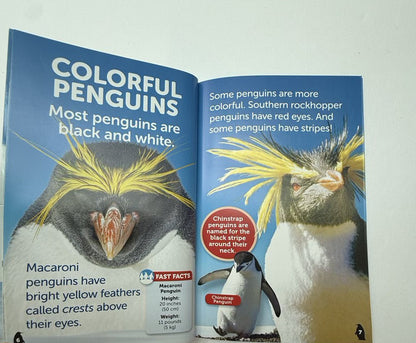 Penguins! Scholastic Reader with Toy