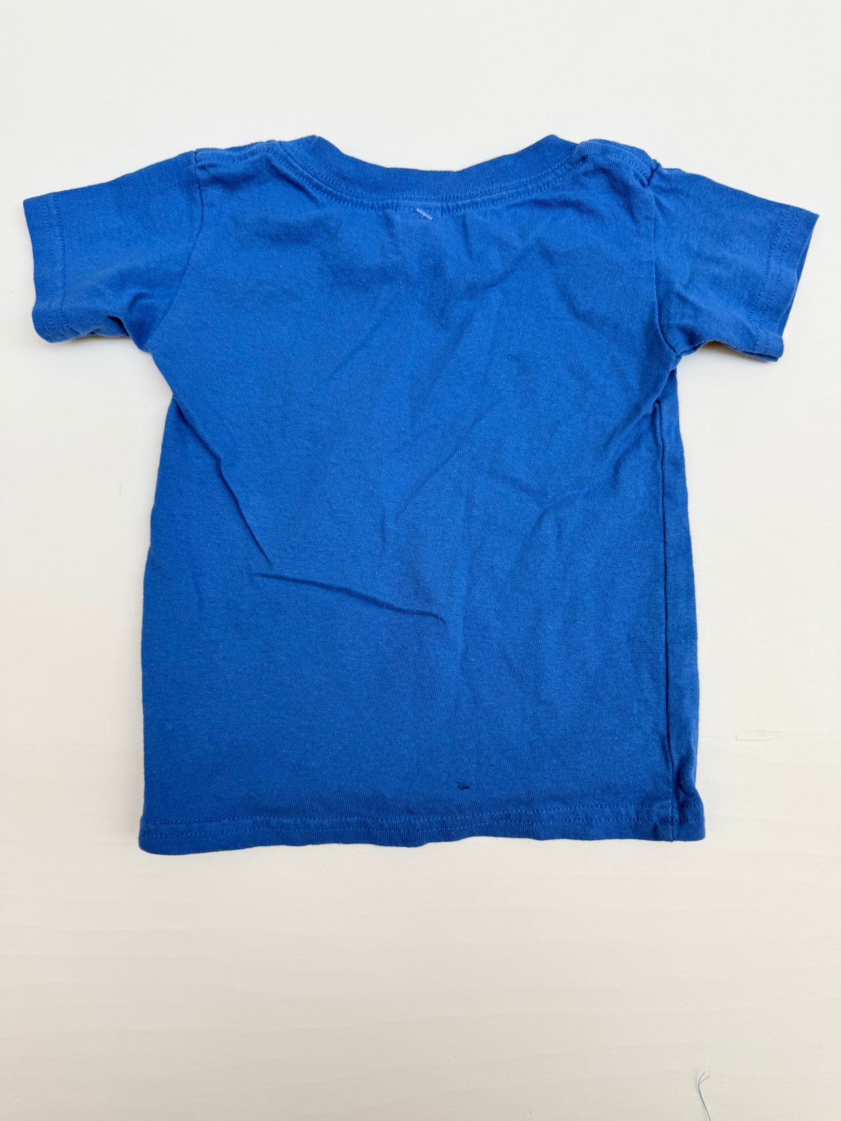 Gildan Dawsons Landing Bear T-Shirt 2T