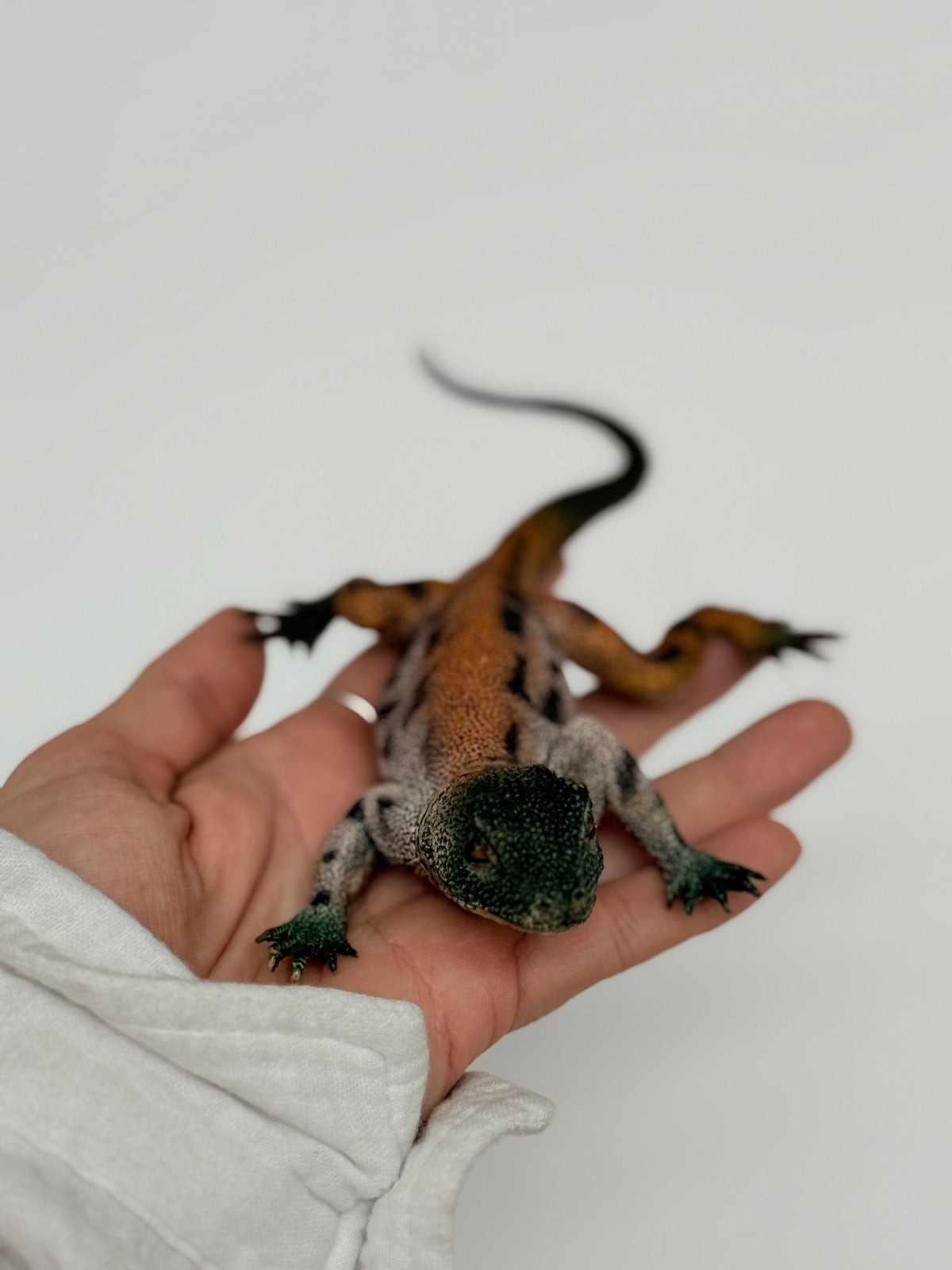 Baby Water Monitor Lizard Toy