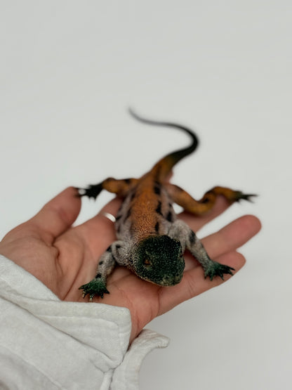 Baby Water Monitor Lizard Toy
