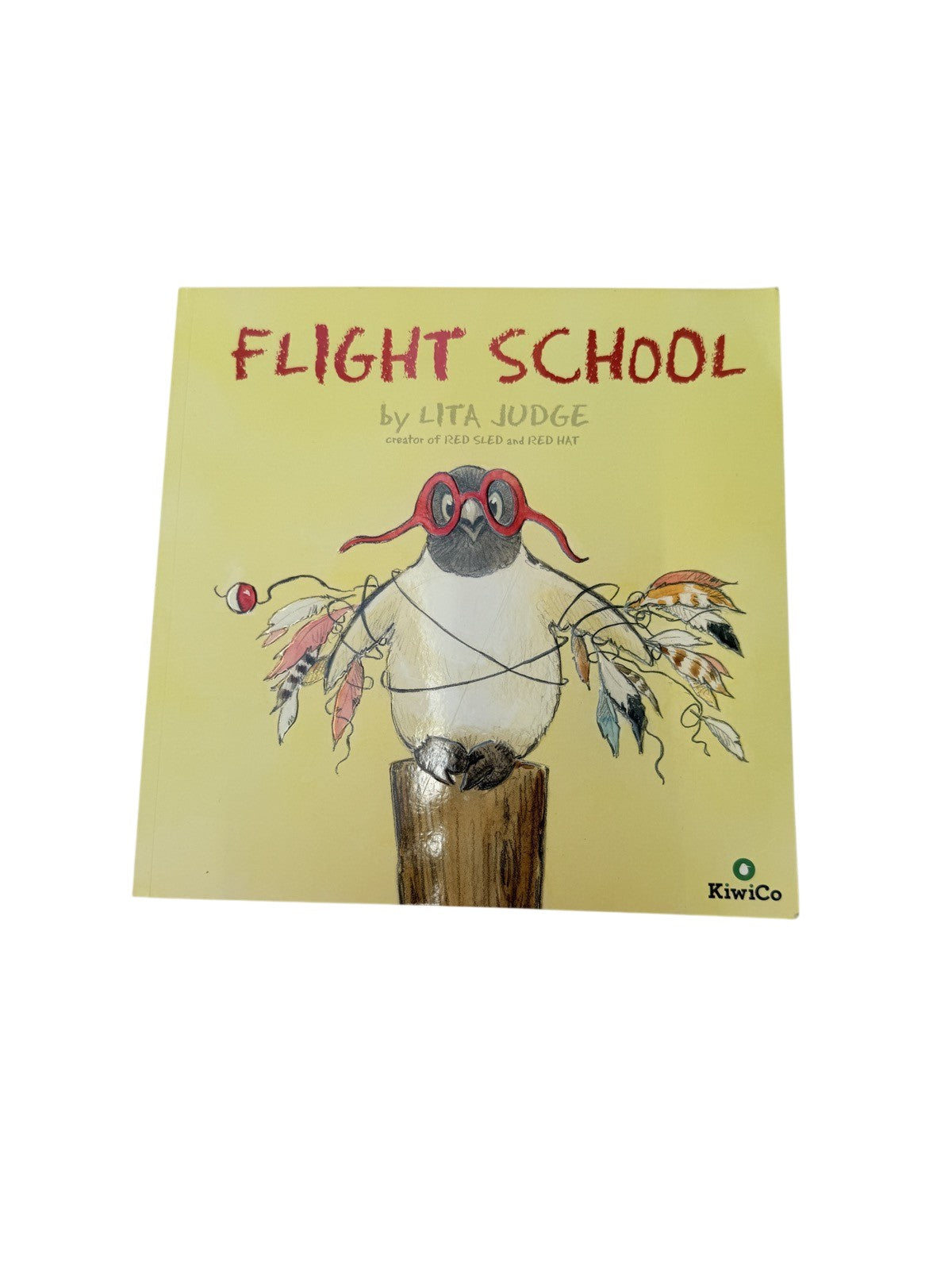 Lita Judge Flight School