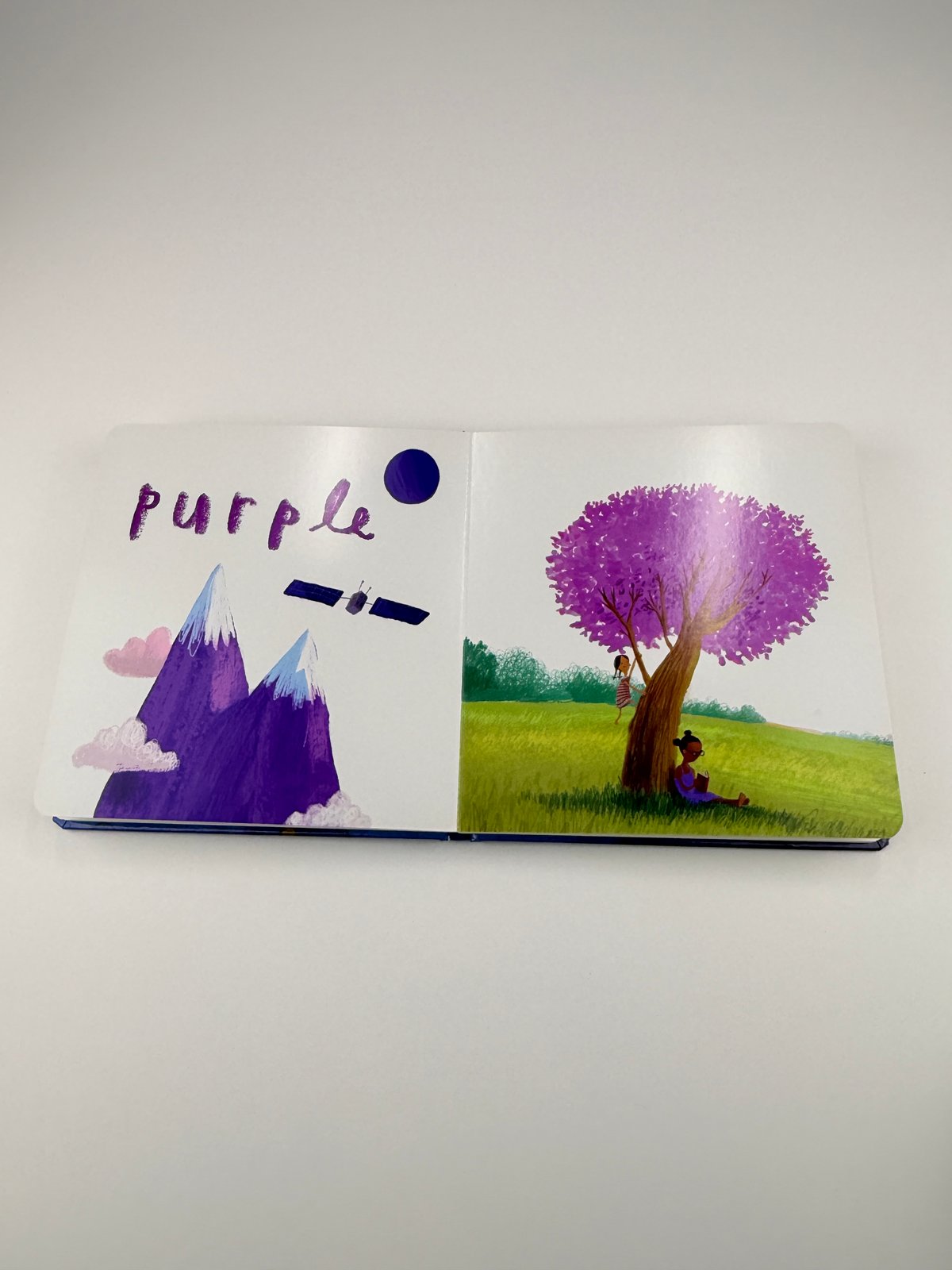 Oliver Jeffers Here We Are Book of Colours
