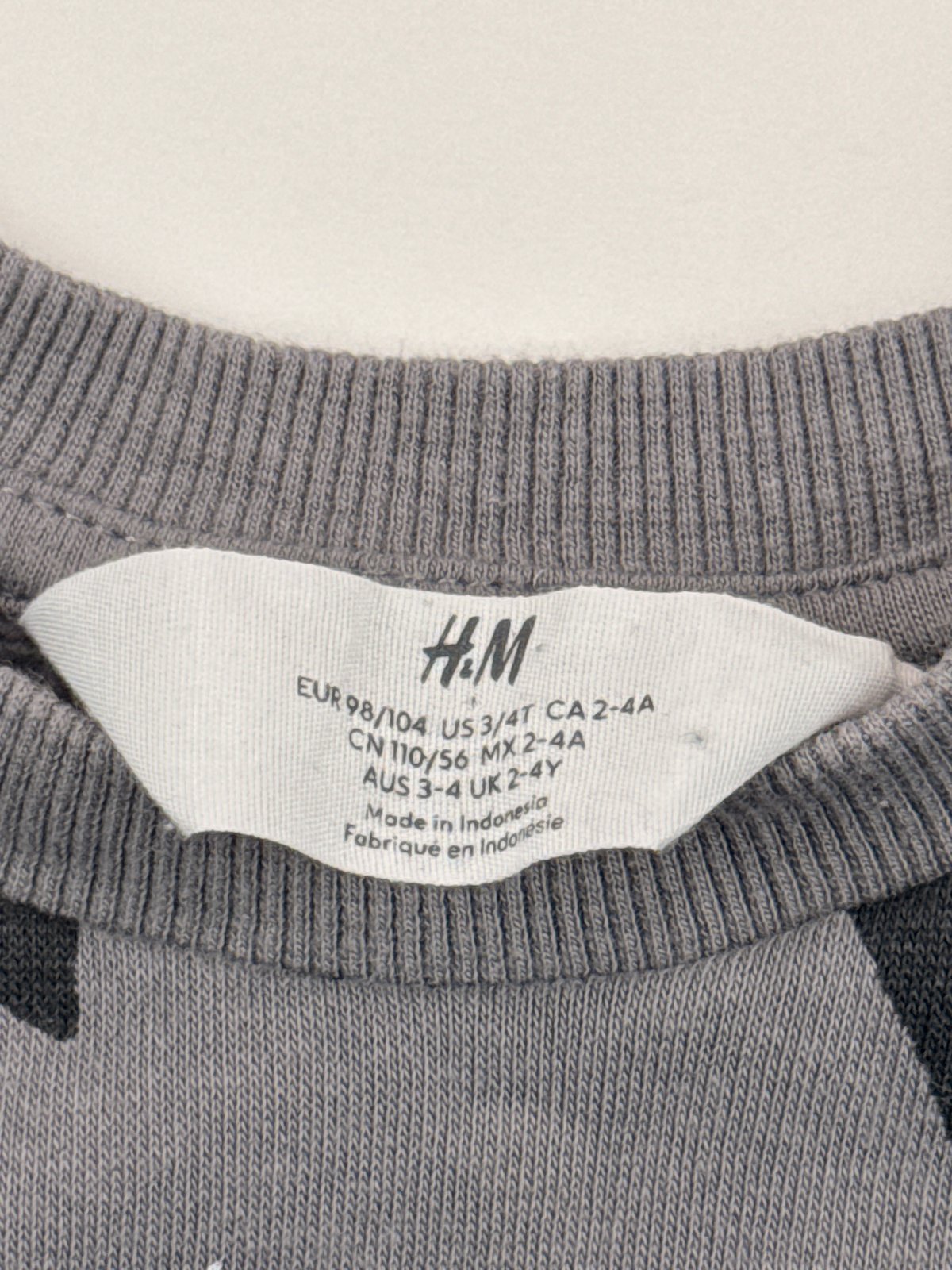 H&M Gray Bat Print Sweatsuit Size 2-4Y