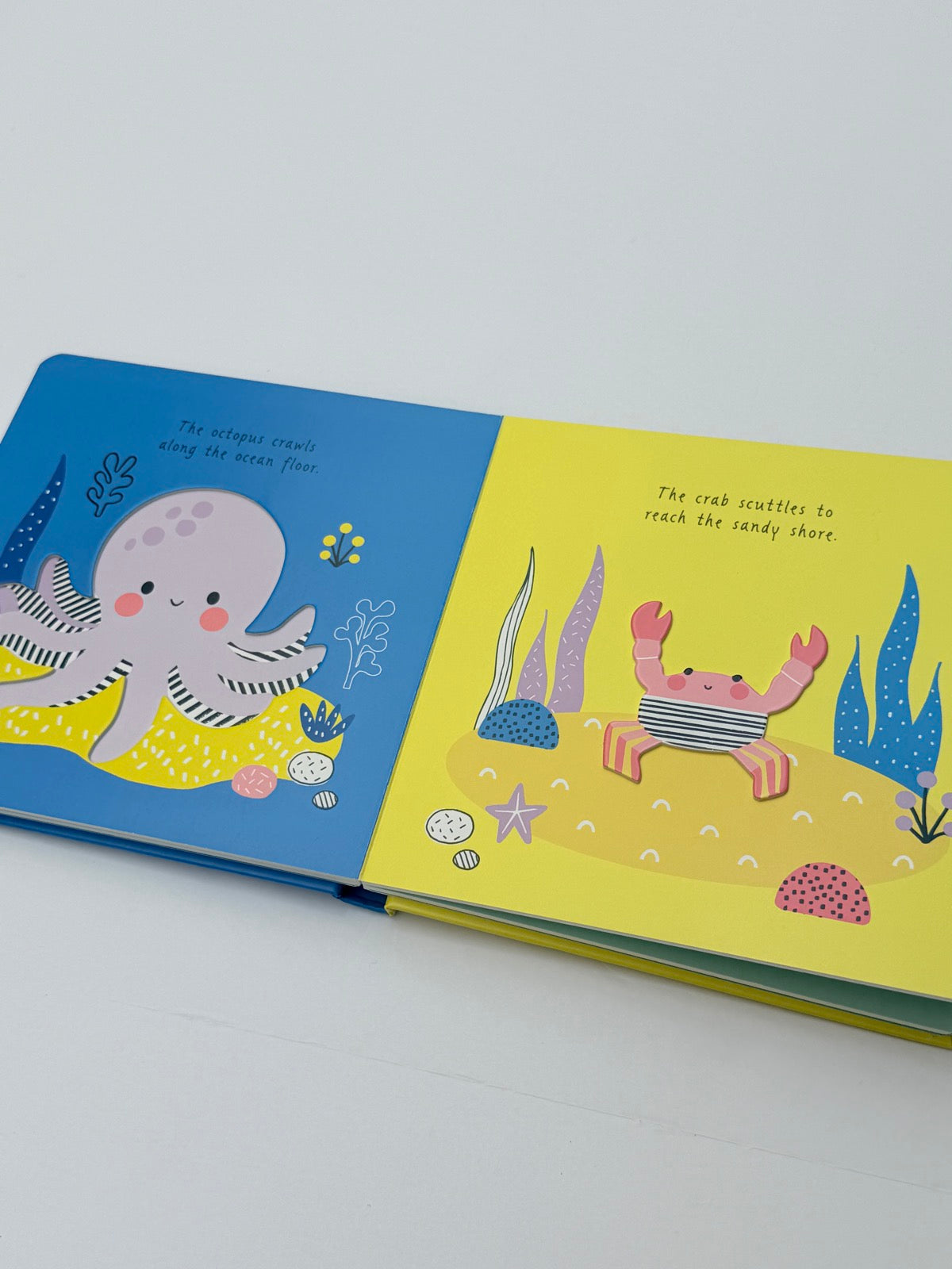 Rachel Elliot Animals in the Ocean Board Book