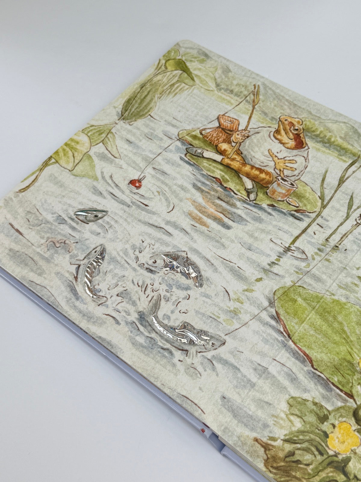 Beatrix Potter Peter Rabbit Touch and Feel
