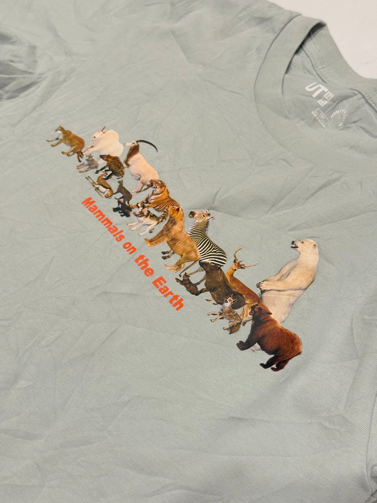 Uniqlo UT Mammals on the Earth Tee 7Y