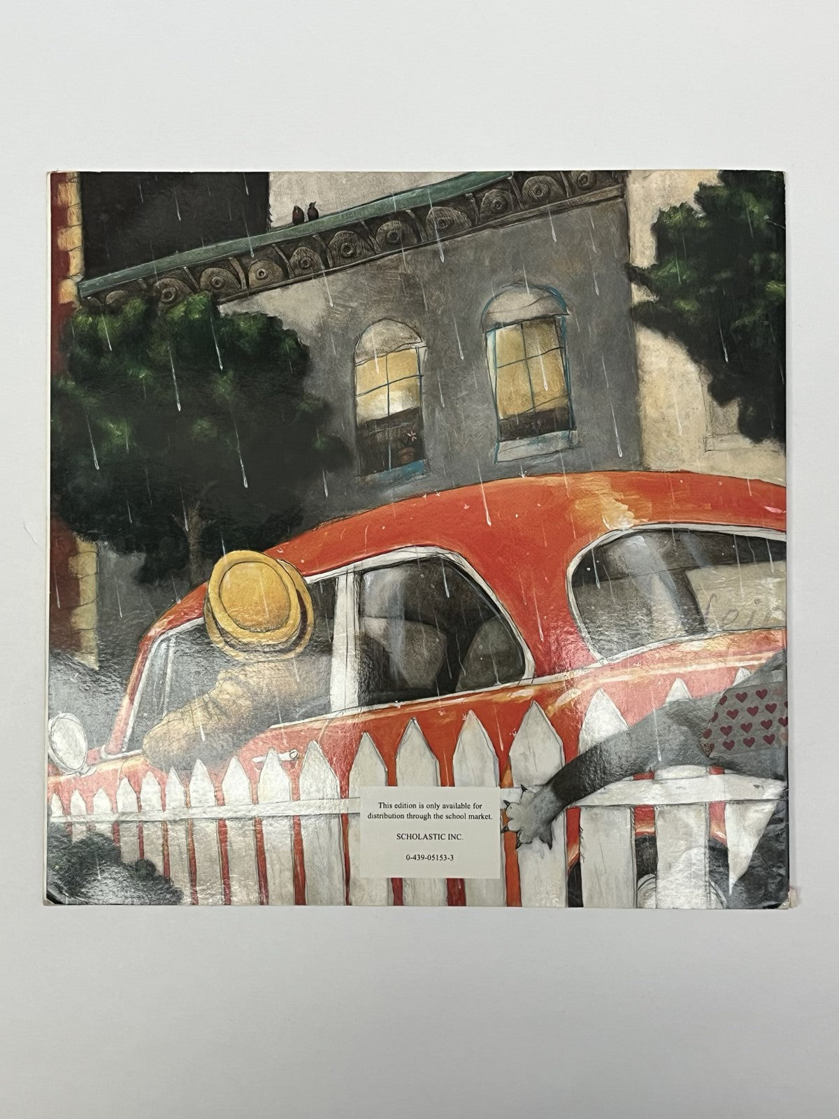 David Shannon The Rain Came Down
