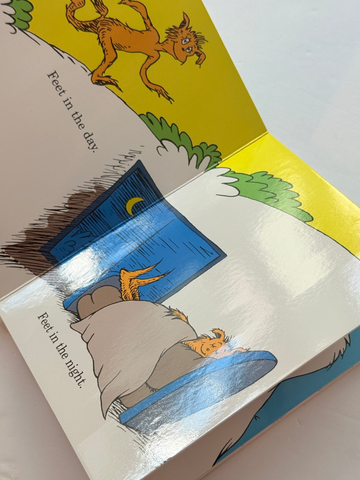 Dr. Seuss The Foot Book