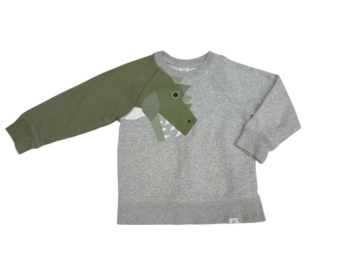 Baby Gap Dinosaur Colorblock Sweatshirt 2T