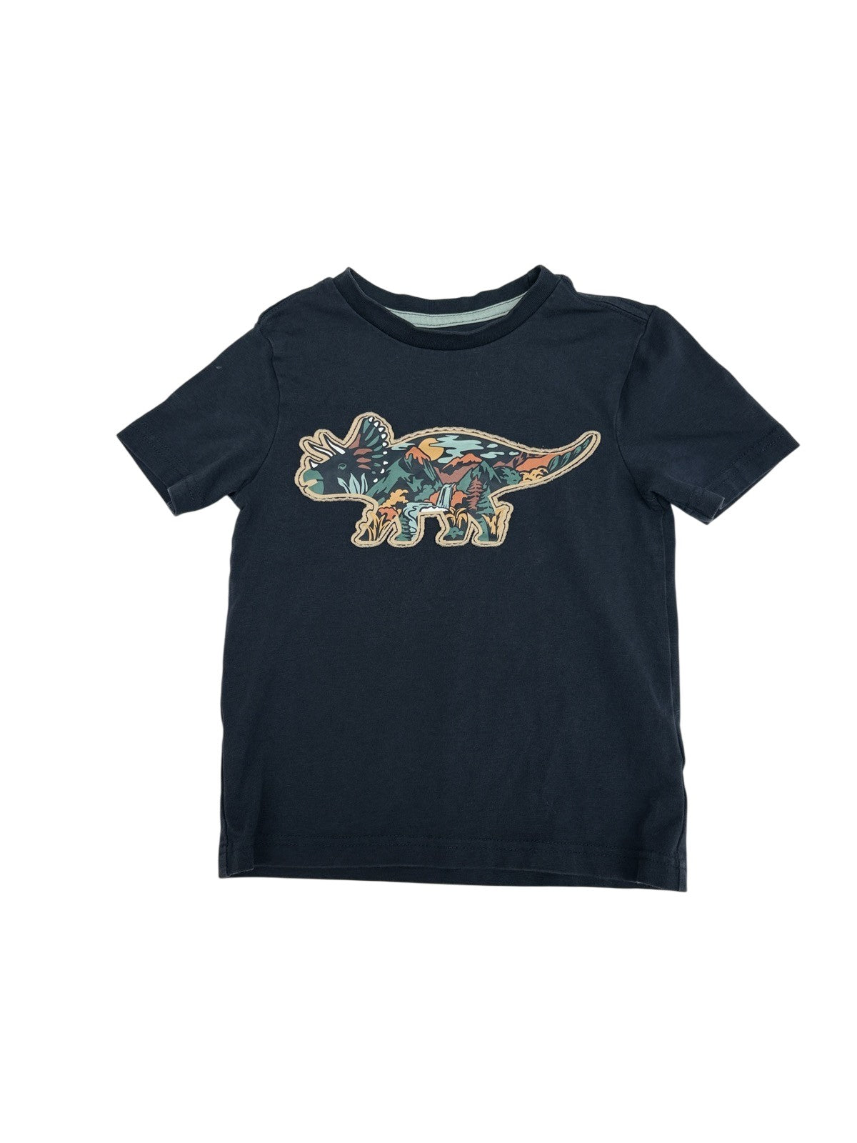 C&C California Dinosaur Graphic T-Shirt 4T
