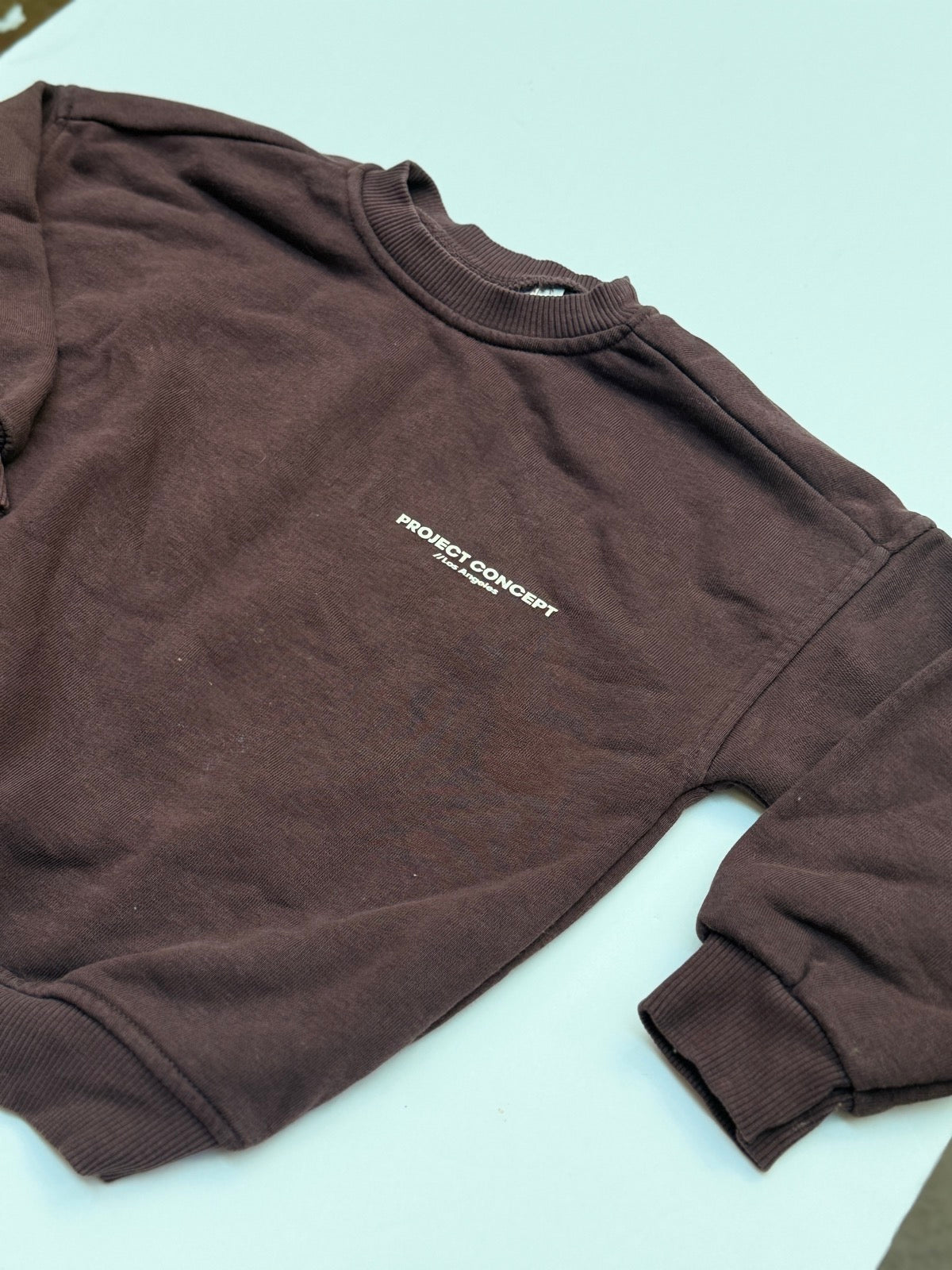Zara Project Concept Brown Sweatshirt 4T