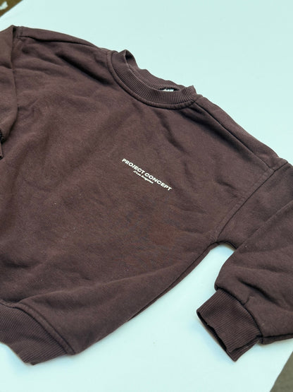 Zara Project Concept Brown Sweatshirt 4T