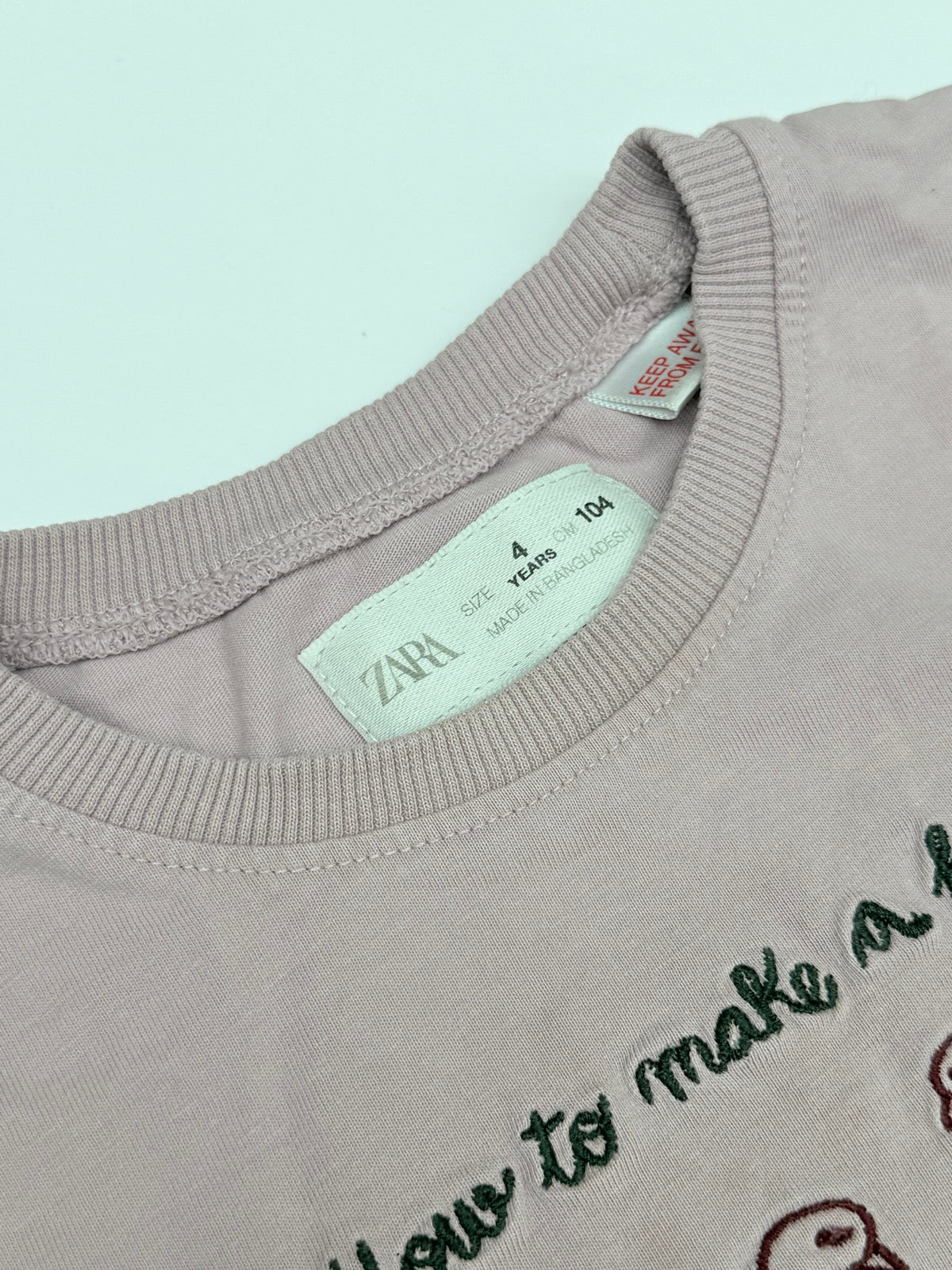 Zara Swan Graphic Long Sleeve Tee 4T