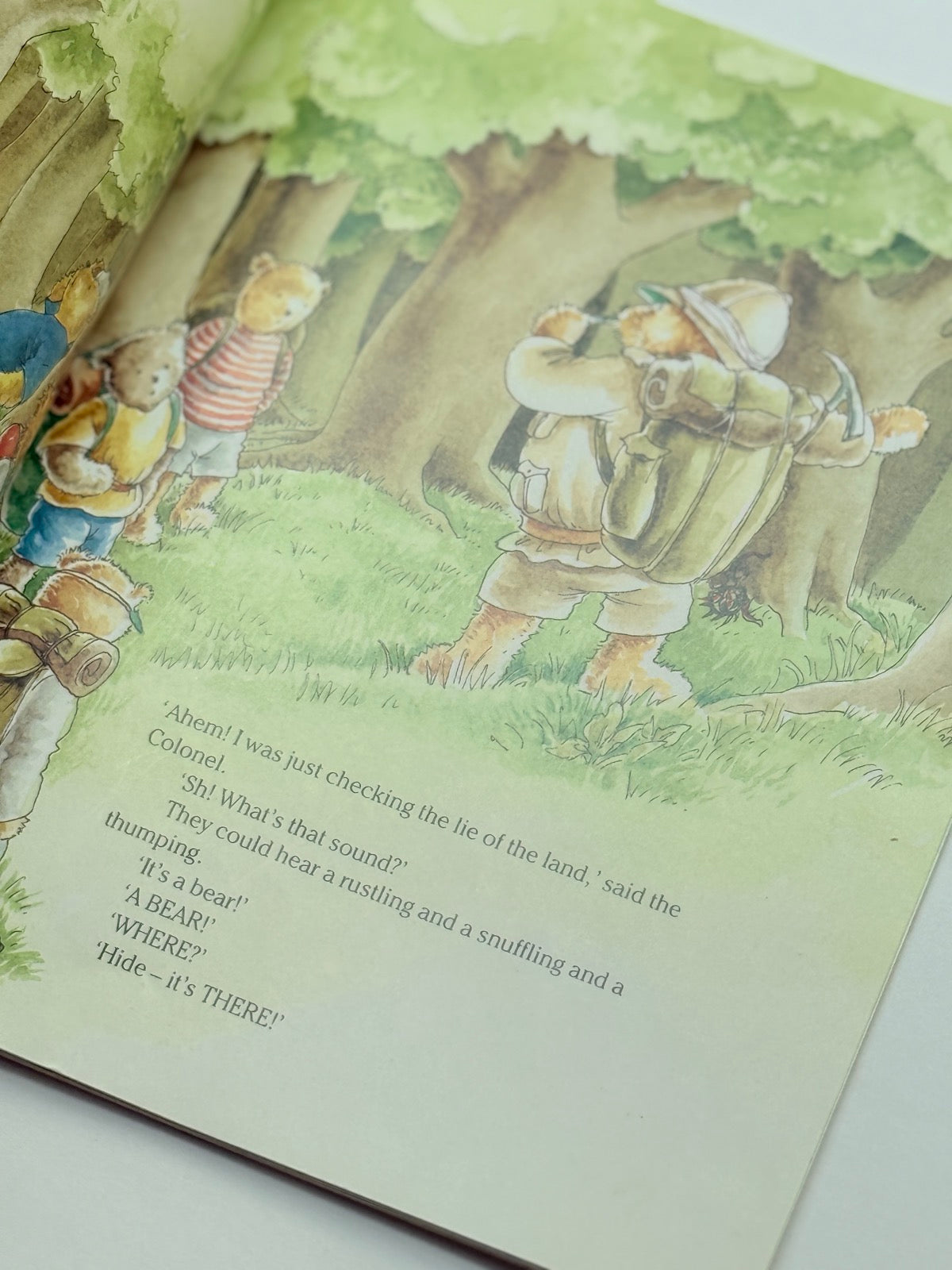Prue Theobalds The Teddy Bears Great Expedition