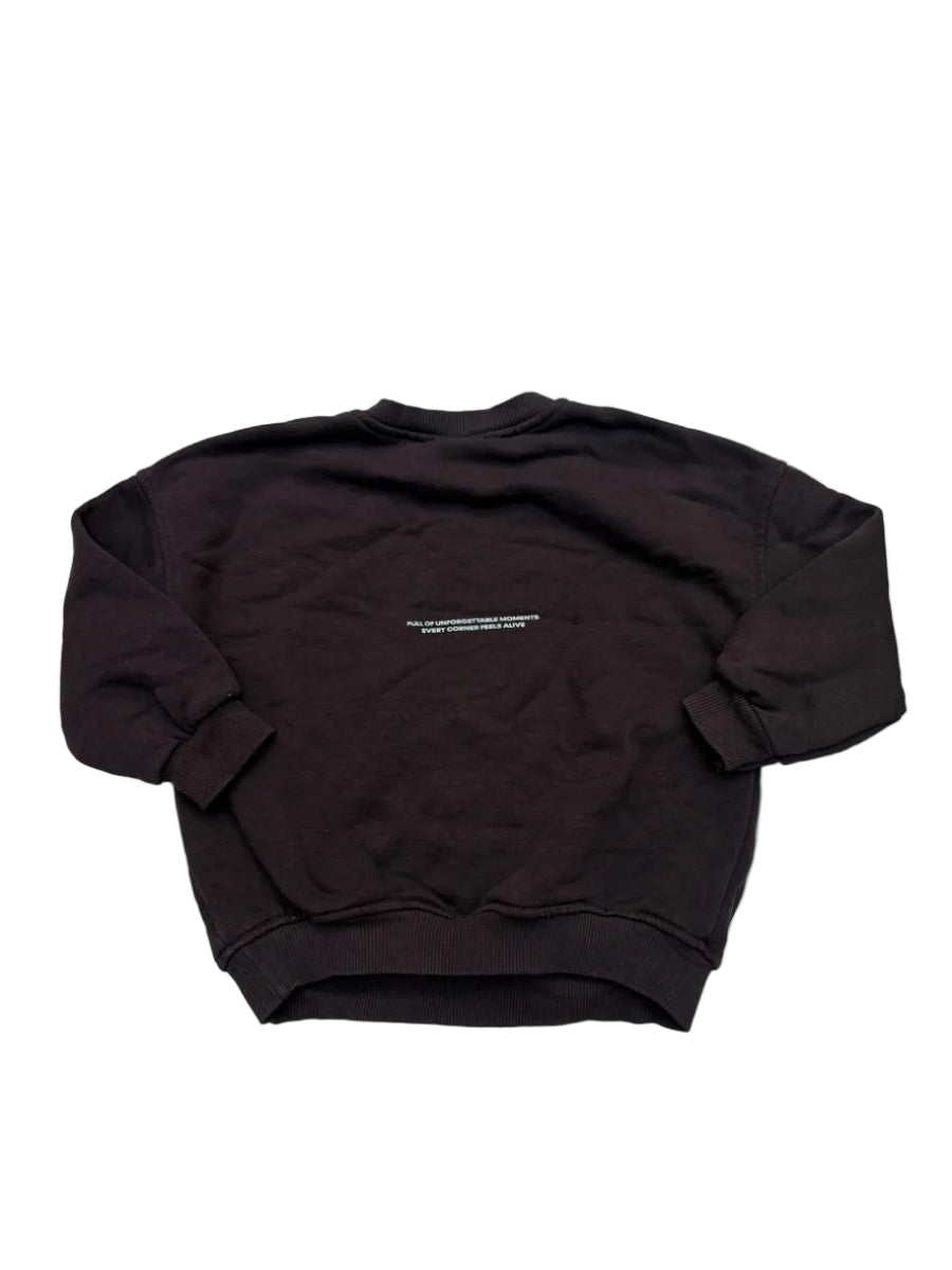 Zara Project Concept Brown Sweatshirt 4T