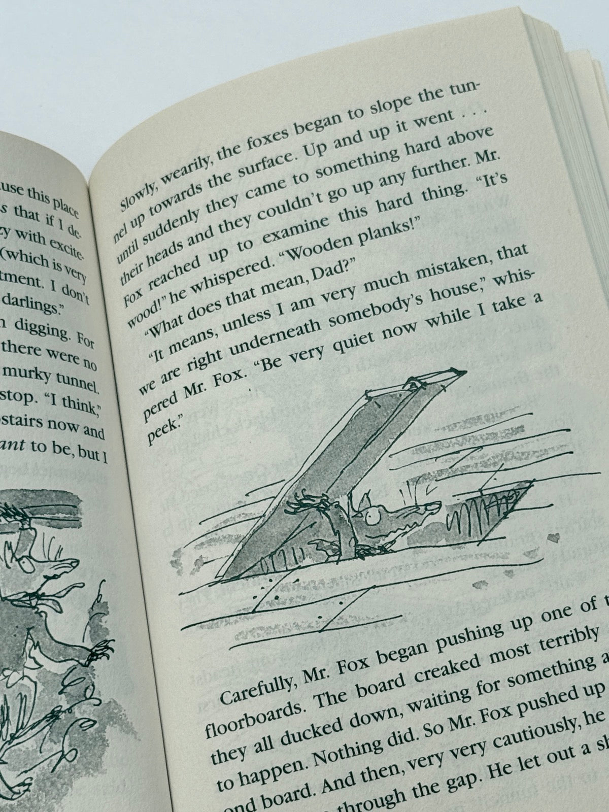 Roald Dahl Fantastic Mr. Fox