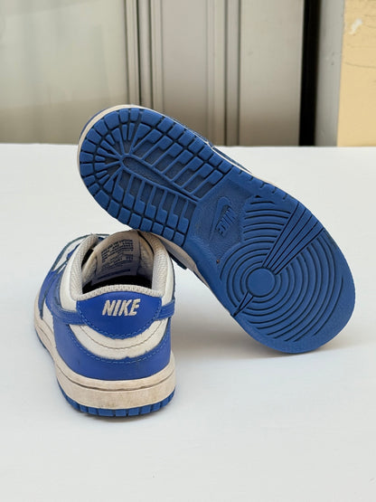 Nike Dunk Low Toddler Shoes Size 10C