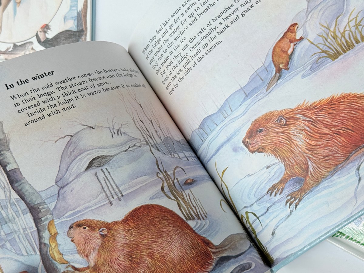 3 Animal World Books Bundle