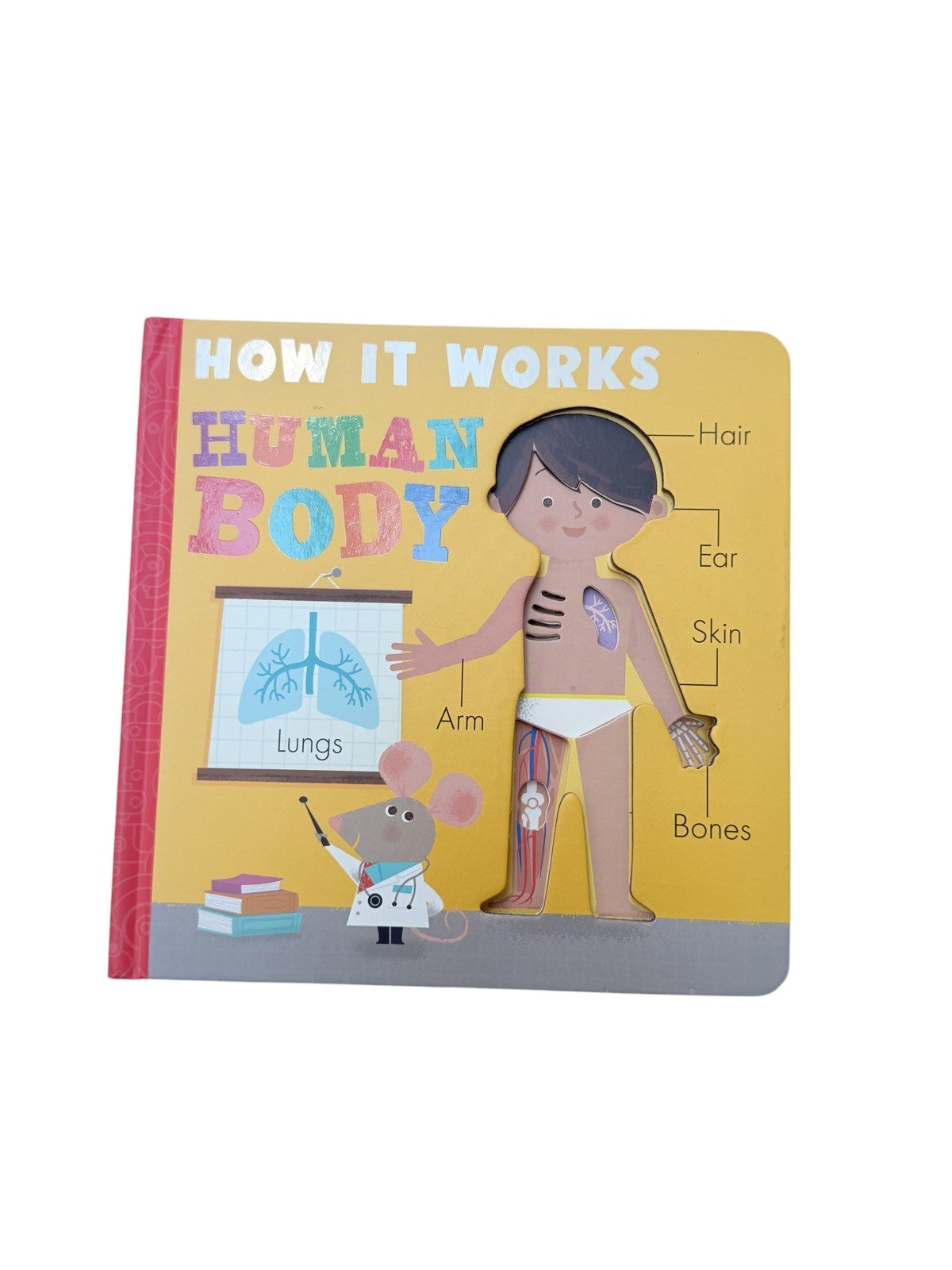 Amelia Hepworth How It Works: Human Body