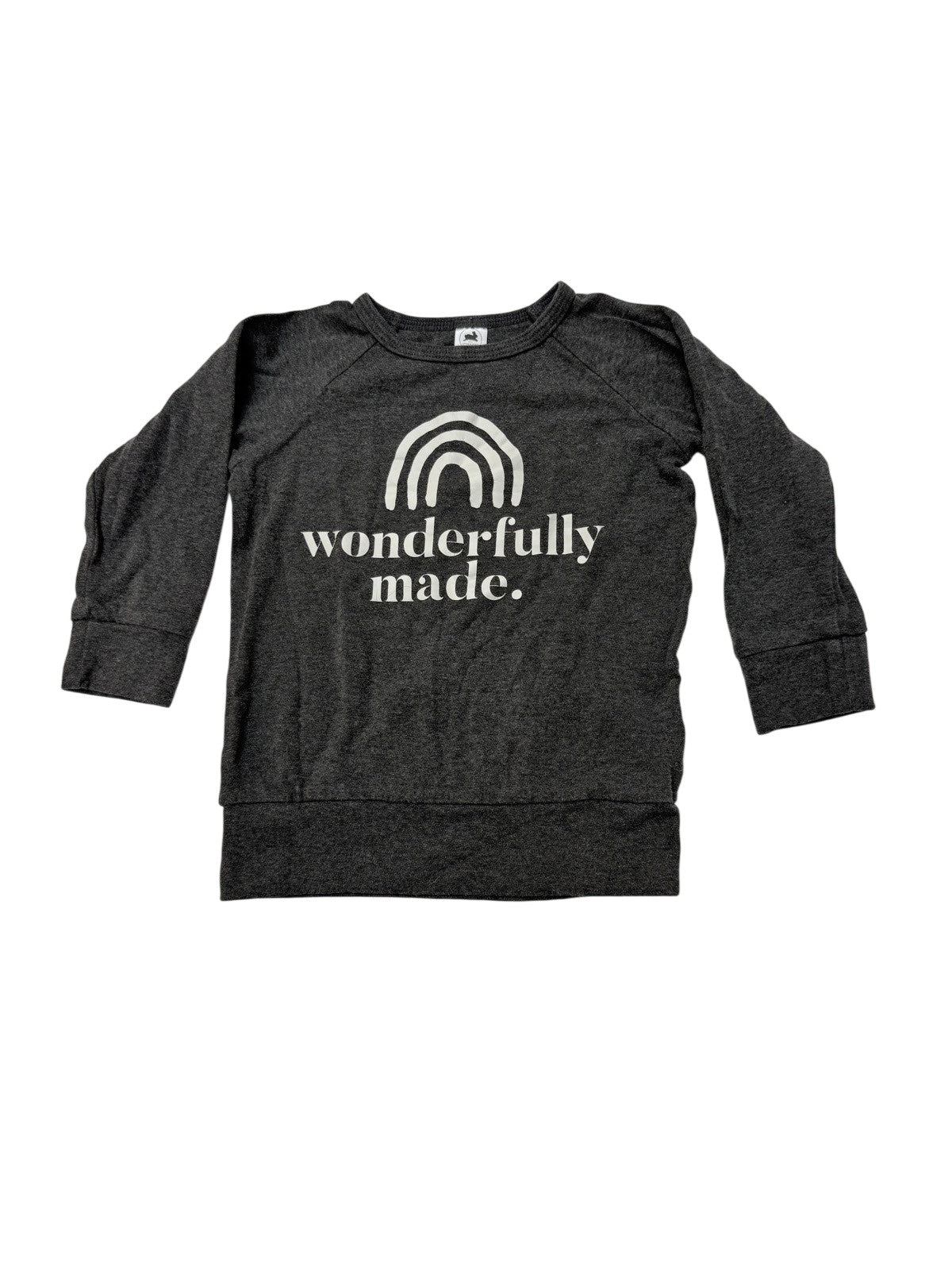 Little & Lively Wonderfully Made Sweatshirt 1T/2T