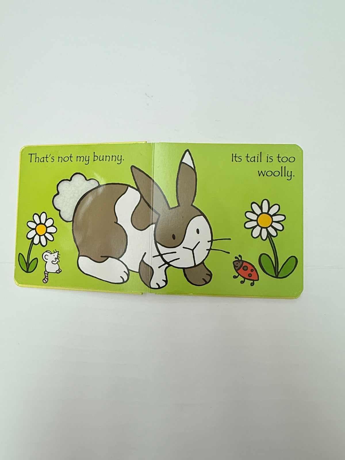 Fiona Watt That's Not My Bunny