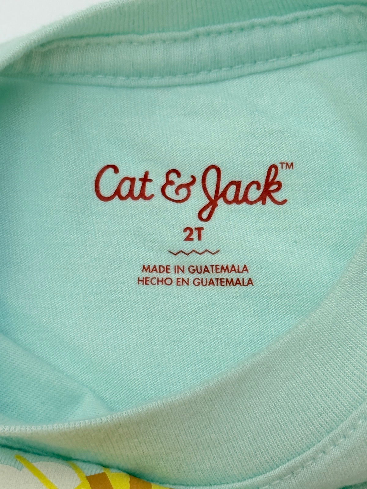 Cat & Jack Mint Rainbow Truck T-Shirt 2T
