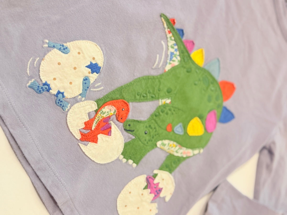 Mini Boden Dinosaur Appliqué Long Sleeve Top 6-7y